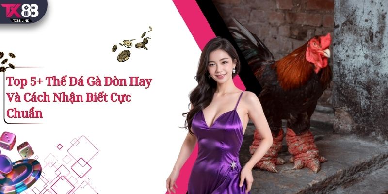 Top 5+ Thế Đá Gà Đòn Hay Và Cách Nhận Biết Cực Chuẩn 1 Top 5+ Thế Đá Gà Đòn Hay Và Cách Nhận Biết Cực Chuẩn